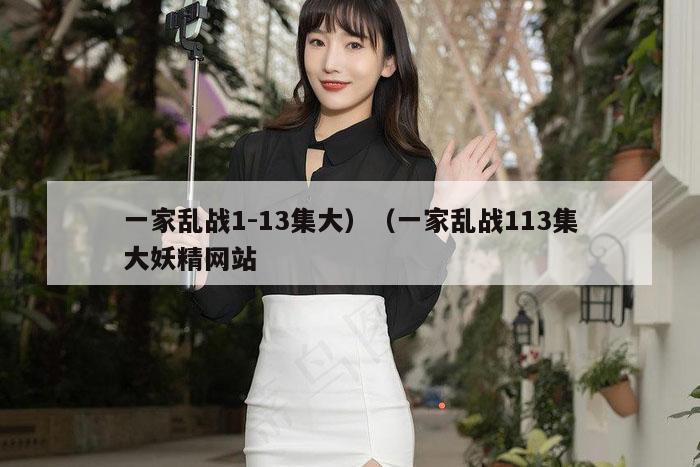 一家乱战1-13集大）（一家乱战113集大妖精网站